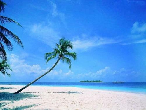 Sanya Tropical Coast Hotel المظهر الخارجي الصورة